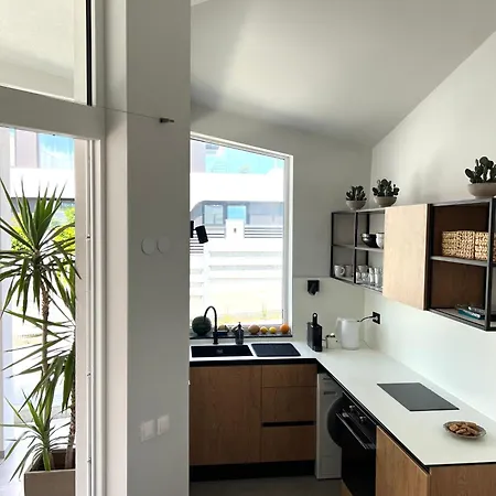 别墅 Slow Living House 洛泽内茨